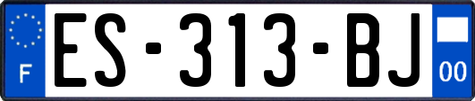 ES-313-BJ