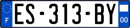 ES-313-BY