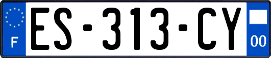 ES-313-CY