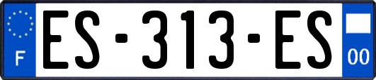 ES-313-ES