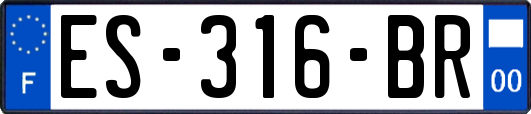 ES-316-BR