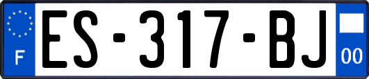 ES-317-BJ