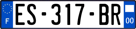 ES-317-BR