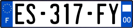 ES-317-FY