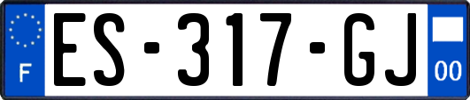 ES-317-GJ
