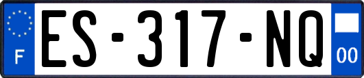 ES-317-NQ