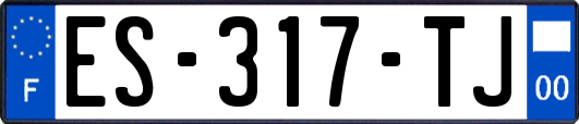ES-317-TJ