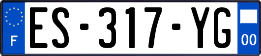 ES-317-YG