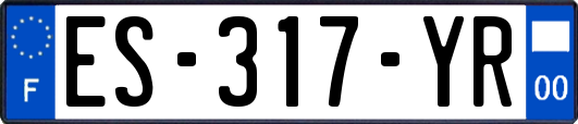 ES-317-YR