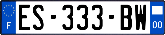 ES-333-BW