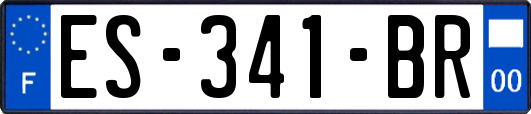 ES-341-BR