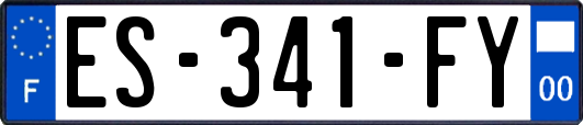 ES-341-FY