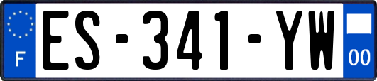 ES-341-YW
