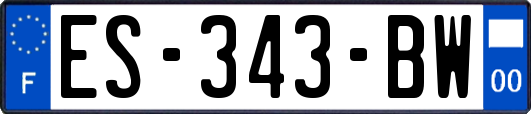 ES-343-BW