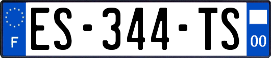 ES-344-TS