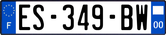 ES-349-BW