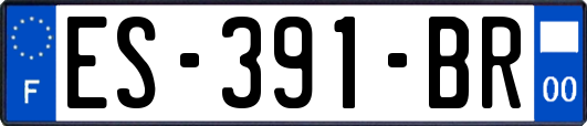 ES-391-BR