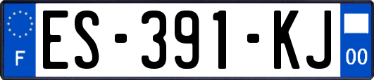 ES-391-KJ