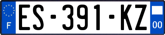ES-391-KZ