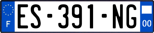 ES-391-NG
