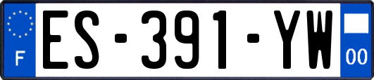 ES-391-YW