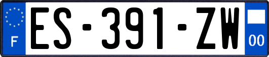 ES-391-ZW