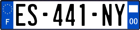 ES-441-NY