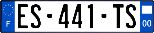 ES-441-TS