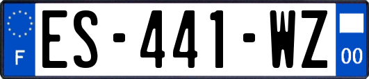 ES-441-WZ