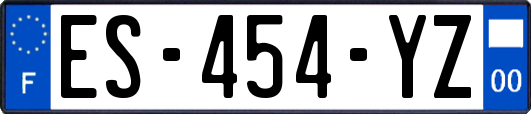 ES-454-YZ