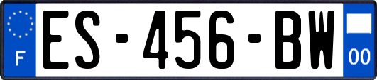 ES-456-BW