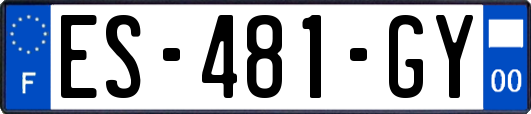 ES-481-GY