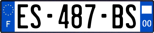 ES-487-BS