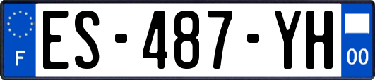 ES-487-YH
