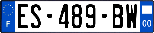 ES-489-BW