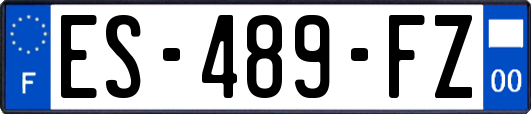 ES-489-FZ
