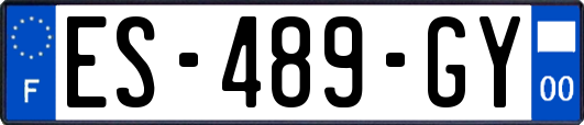 ES-489-GY