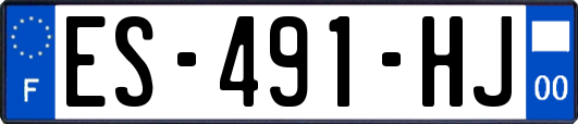 ES-491-HJ