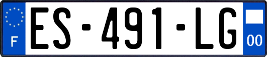 ES-491-LG