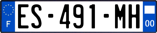 ES-491-MH