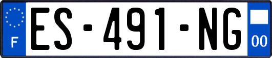 ES-491-NG
