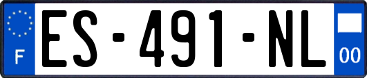 ES-491-NL