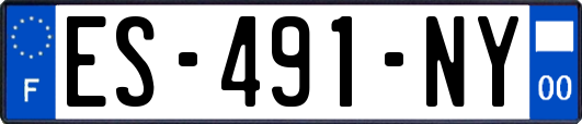 ES-491-NY