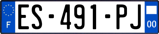 ES-491-PJ