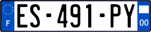 ES-491-PY