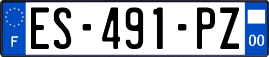 ES-491-PZ