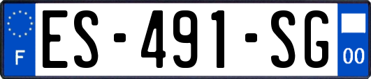 ES-491-SG