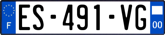 ES-491-VG