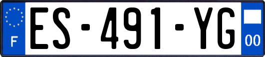 ES-491-YG