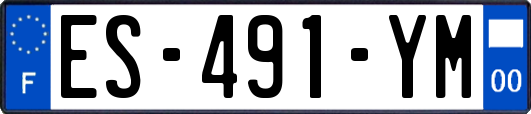 ES-491-YM